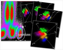 Beckman Coulter Kaluza 1.2 Graphic